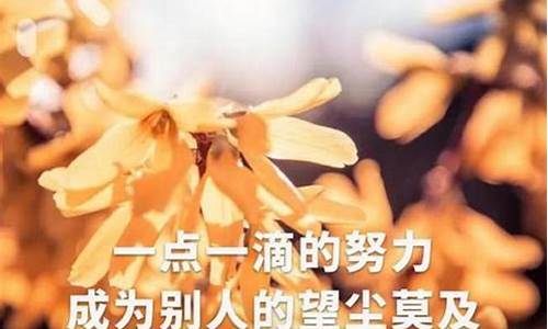 名言励志 经典语录_名言励志经典语录短句