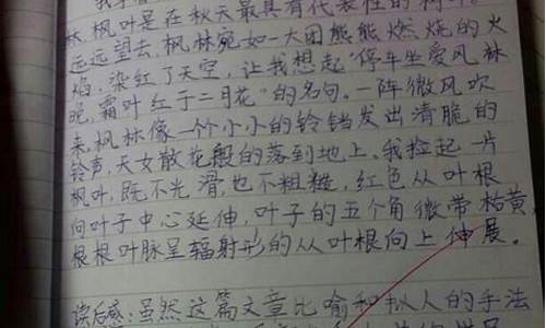 很惊艳的长段摘抄_很惊艳的长段摘抄300