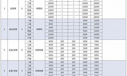 小公司薪酬方案_小公司薪酬方案模板